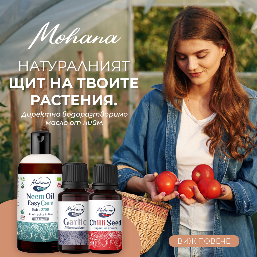 Промо Пакет масло нийм EasyCare 2700 + етерични масла от чесън и чили