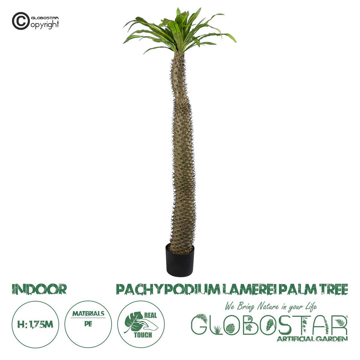 GloboStar® Изкуствена Градина PACHYPODIUM LAMEREI PALM TREE 20130 Изкуствено Декоративно Растение Палма от Мадагаскар В175cm