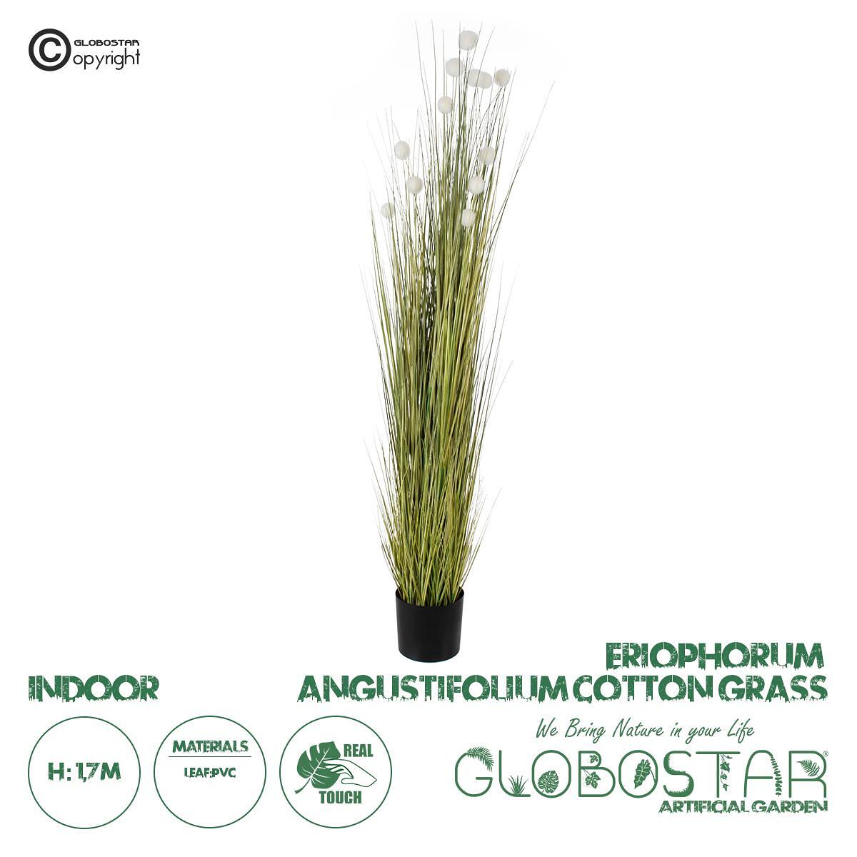 GloboStar® Изкуствено Градинско Растение ERIOPHORUM ANGUSTIFOLIUM COTTON GRASS 20074 Изкуствен Декоративен Памучен Тревен Растение Височина 170cm