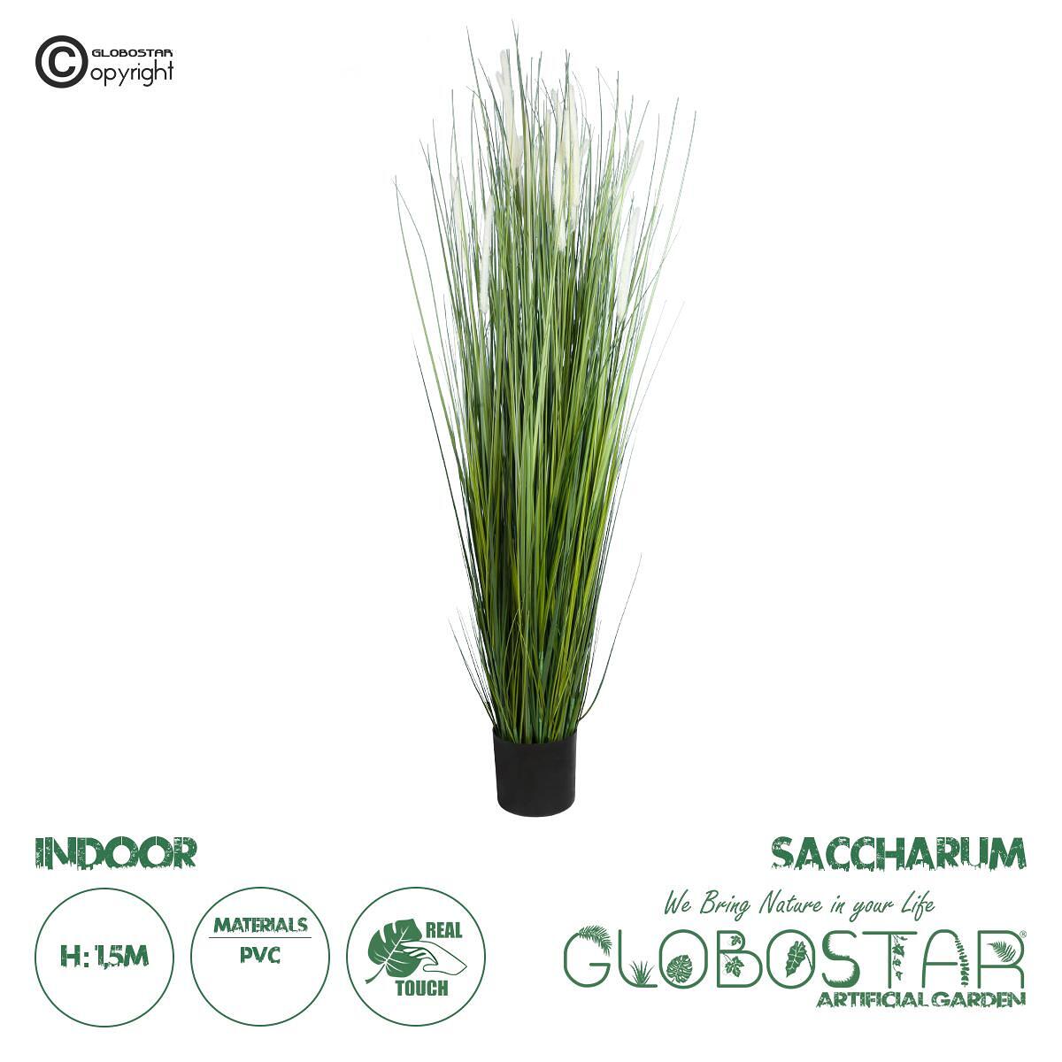 GloboStar® Изкуствена Градина SACCHARUM 20104 Изкуствено Декоративно Растение Захарна Тръстика Височина 150cm