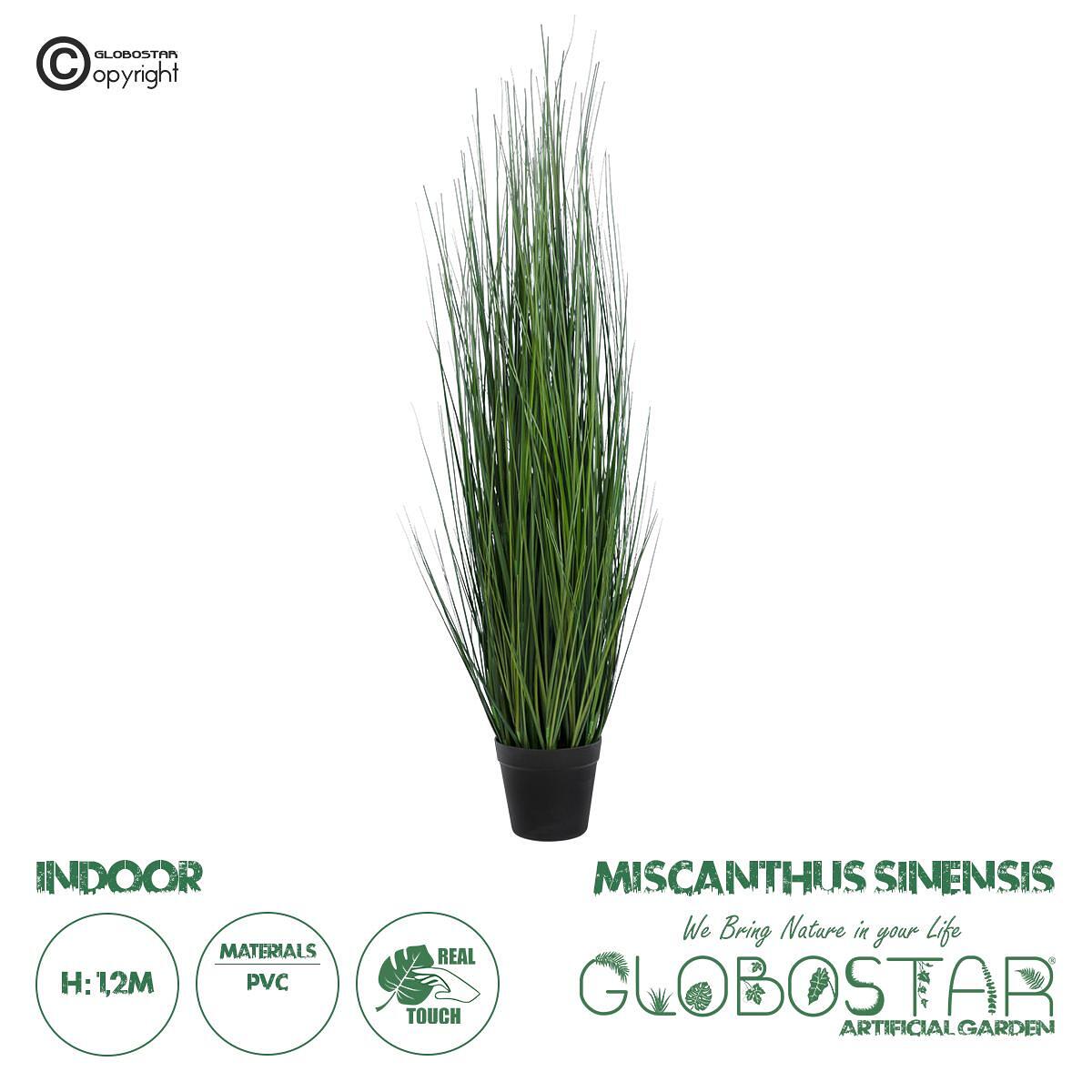 GloboStar® Изкуствена Градина MISCANTHUS SINENSIS 20116 Изкуствено Декоративно Растение Мискантус В120cm
