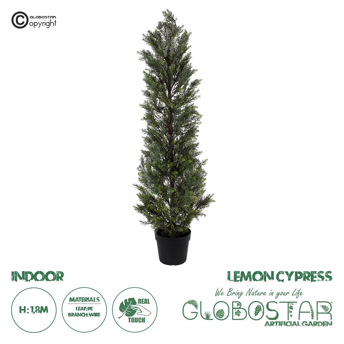 GloboStar® Изкуствена Градина LEMON CYPRESS 20153 Изкуствено Декоративно Растение Лимонов Кипарис В180cm