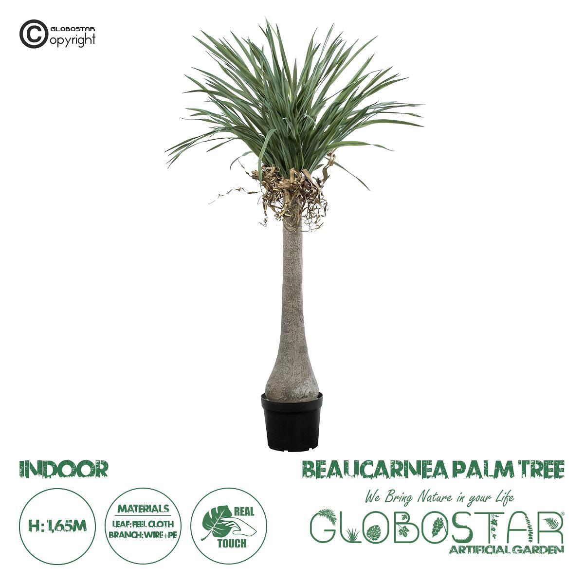 GloboStar® Изкуствена Градина BEAUCARNEA PALM TREE 20046 Изкуствено Декоративно Растение Криволистна Боукарнея Височина 165cm