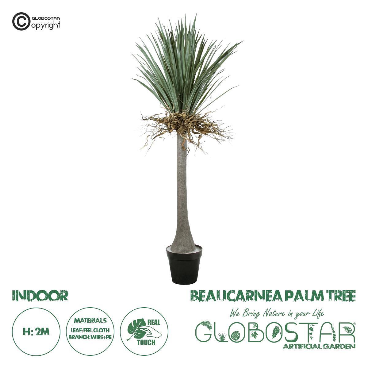 GloboStar® Изкуствена Градина BEAUCARNEA PALM TREE 20047 Изкуствено Декоративно Растение Криволистна Беукарнея В200cm