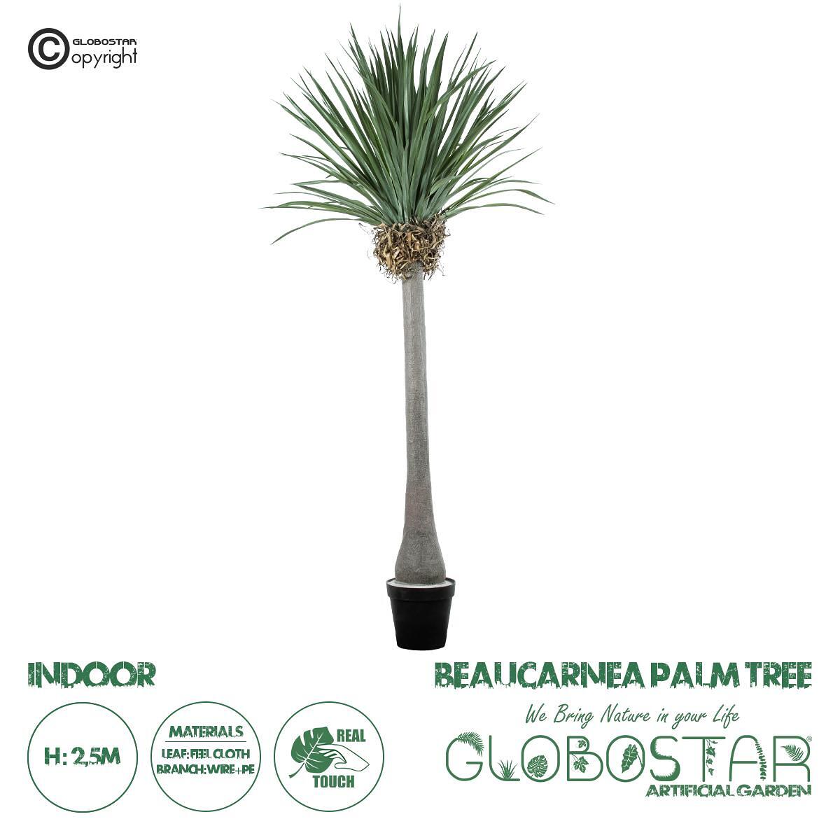 GloboStar® Изкуствена Градина BEAUCARNEA PALM TREE 20048 Изкуствено Декоративно Растение Криволистна Бокарнея Височина 250cm