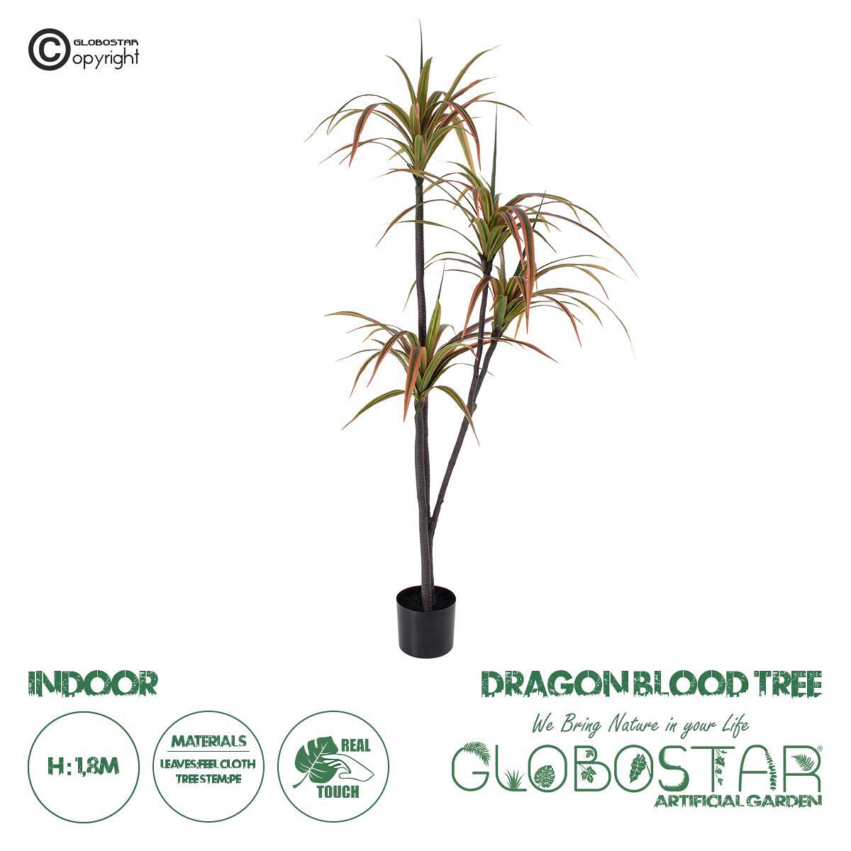 GloboStar® Изкуствена Градина DRAGON BLOOD TREE 20372 - Изкуствено Декоративно Растение Дракайна В180cm