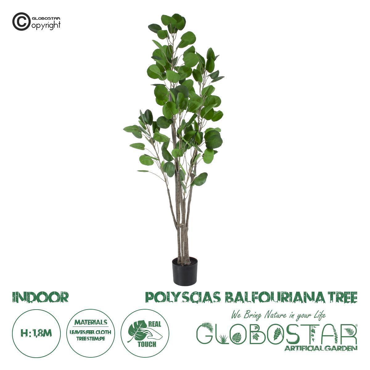 GloboStar® Изкуствено Градинско Дърво POLYSCIAS BALFOURIANA 20375 Изкуствено Декоративно Растение Полиския Височина 180cm