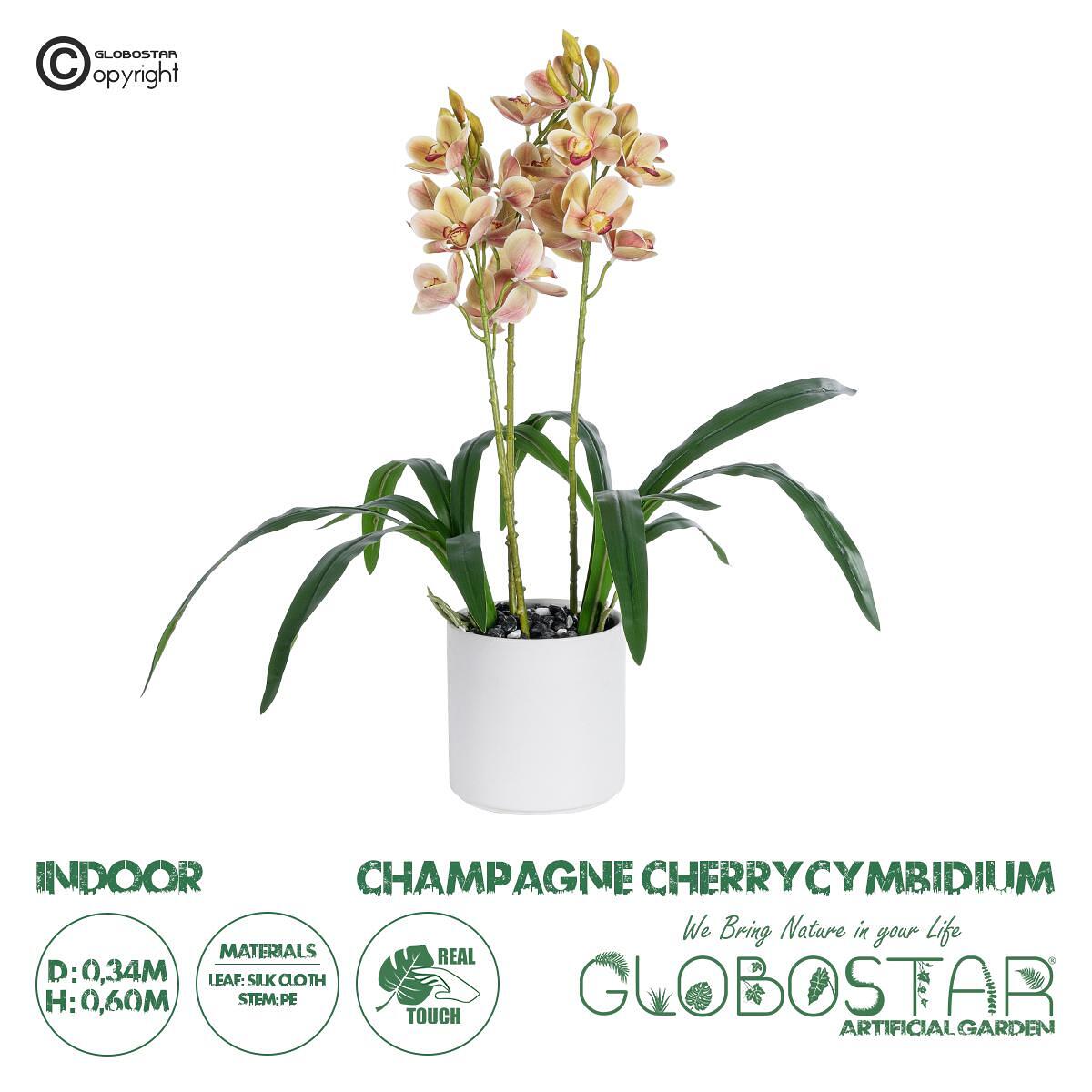 GloboStar® Изкуствена Градина CHAMPAGNE CHERRY CYMBIDIUM 21404 Декоративно Растение Шампанско Кимбидиум В60cm