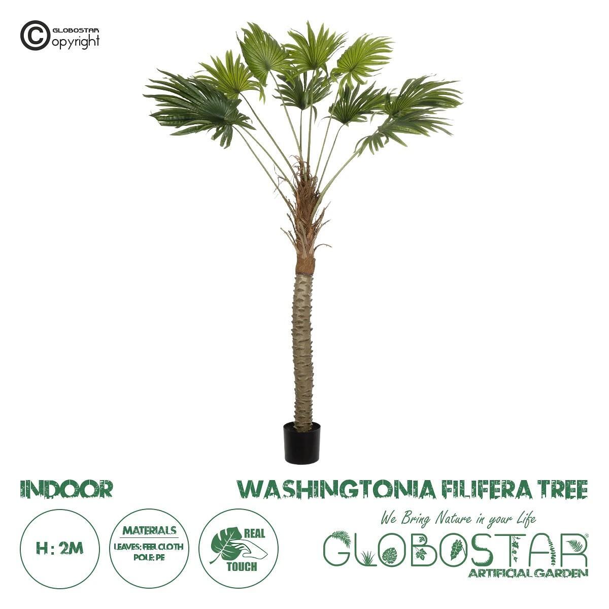 GloboStar® Artificial Garden WASHINGTONIA FILIFERA TREE 21107 Изкуствен Декоративен Финиково дърво У200cm