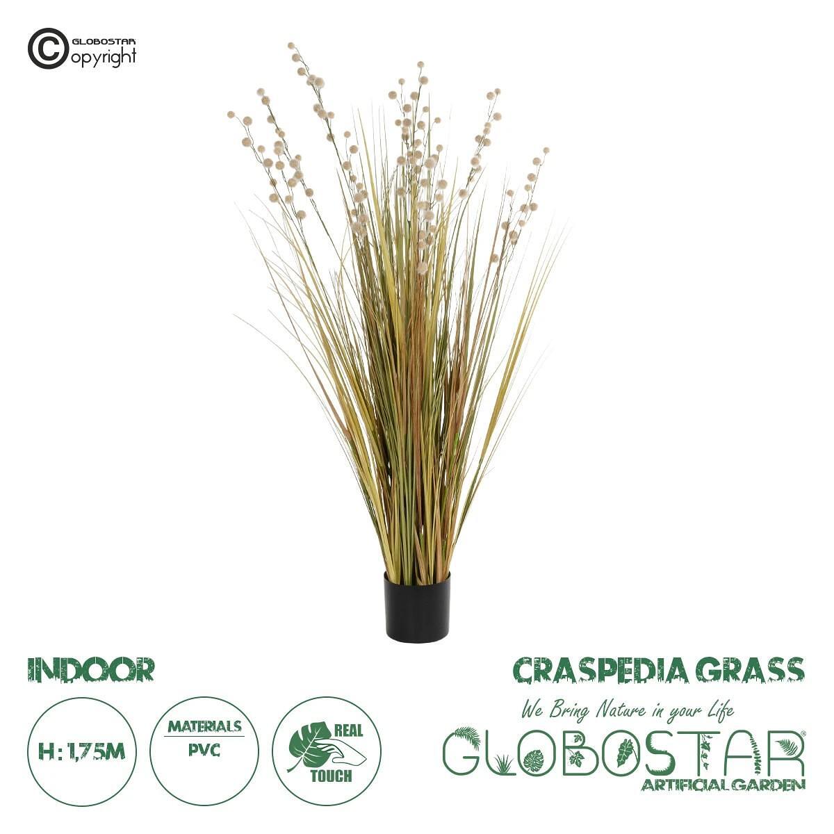 GloboStar® Artificial Garden CRASPEDIA GRASS 21480 Изкуствен Декоративен Растение Бежов & Зелено Бордюри М90 x П60 x У175cm